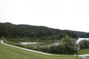 FOTO Drago Juteršek (5)